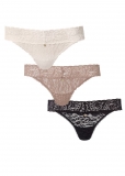 Venus Cherished Classics Pearl by VENUS? Allover Lace Thong 3 Pack Venus Cherished Classics Pearl by VENUS? Allover Lace Thong 3 Pack